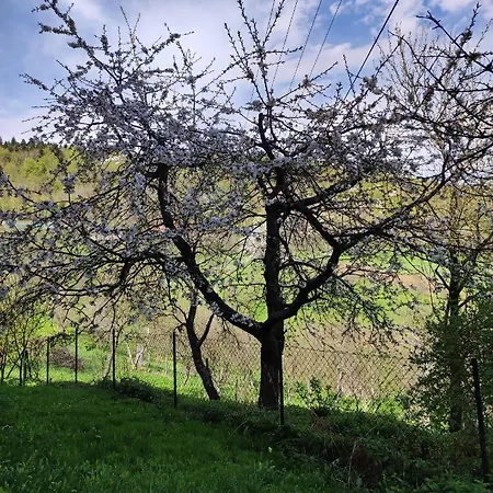 Dom Pod Jabloniami Lukowica