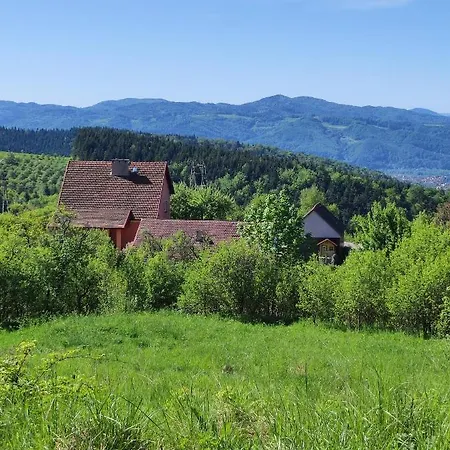 Holiday home Dom Pod Jabloniami Lukowica